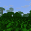 A Minecraft Server